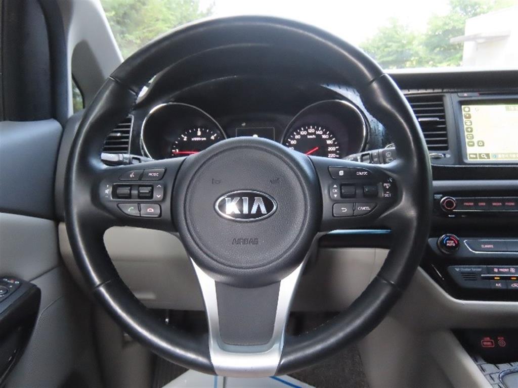 Kia Carnival — photo 16