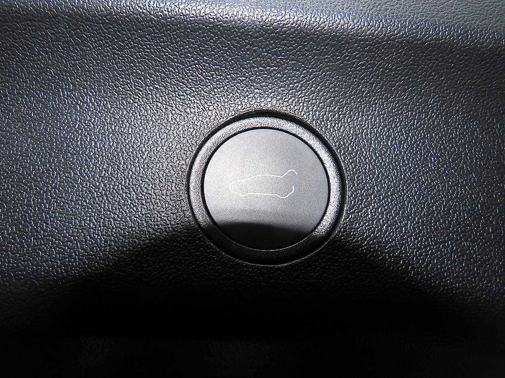 Tesla Model Y — photo 15
