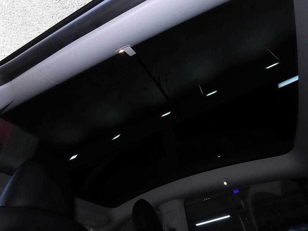Tesla Model Y — photo 16