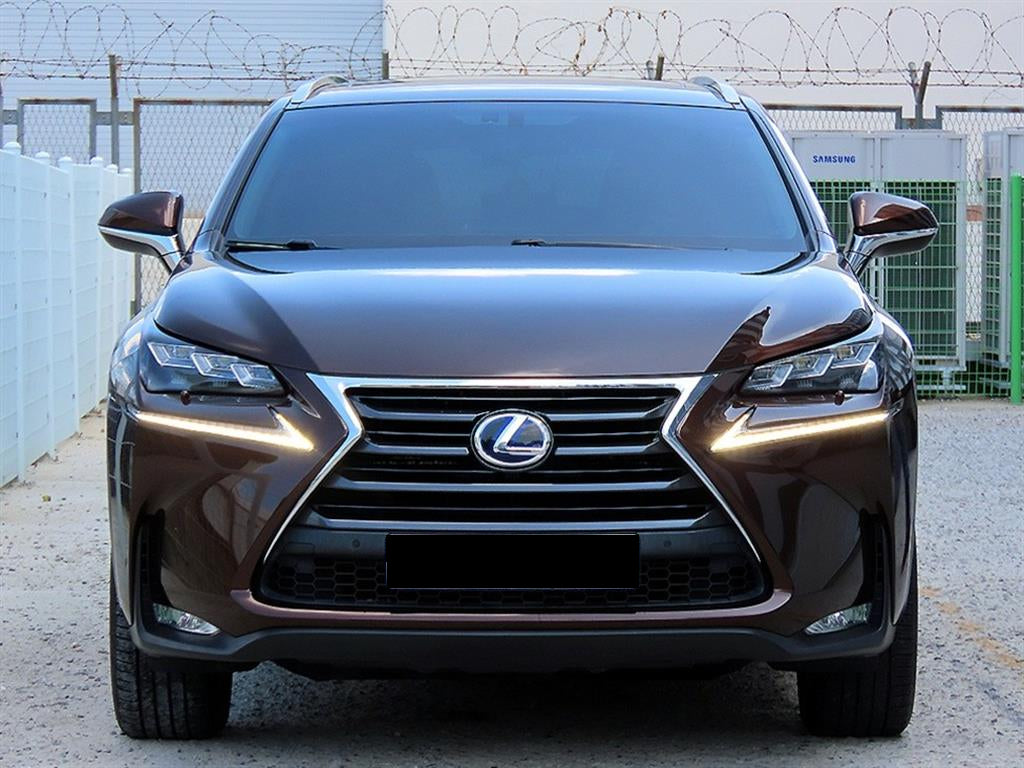 Lexus NX — photo 01