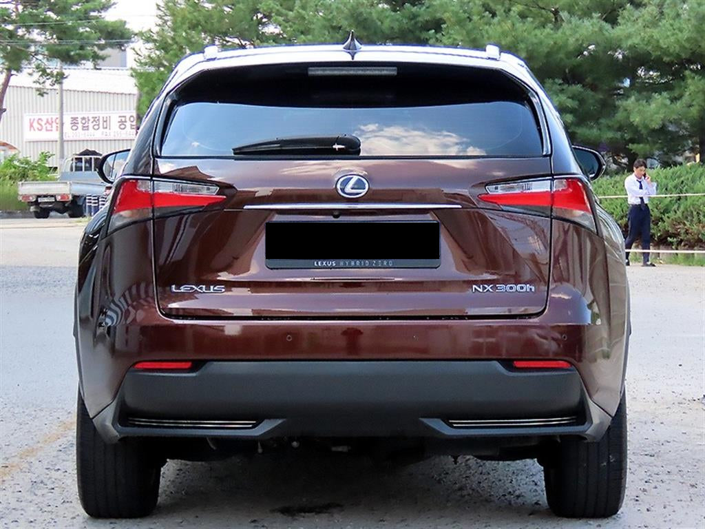 Lexus NX — photo 04