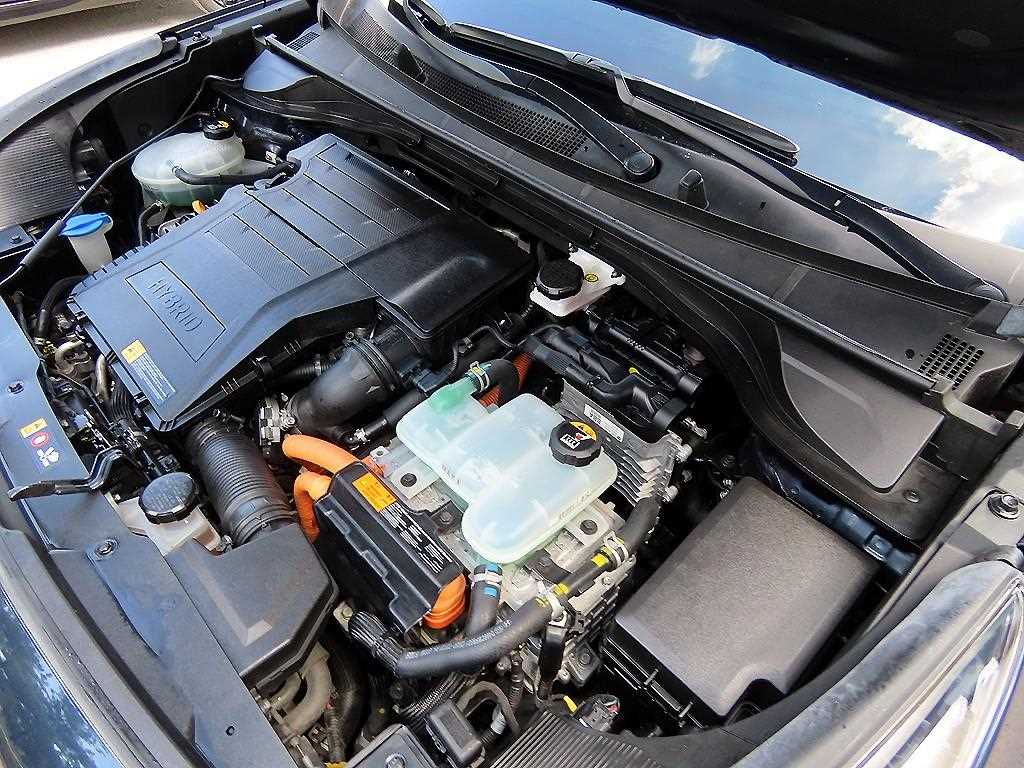 Kia Niro — photo 19