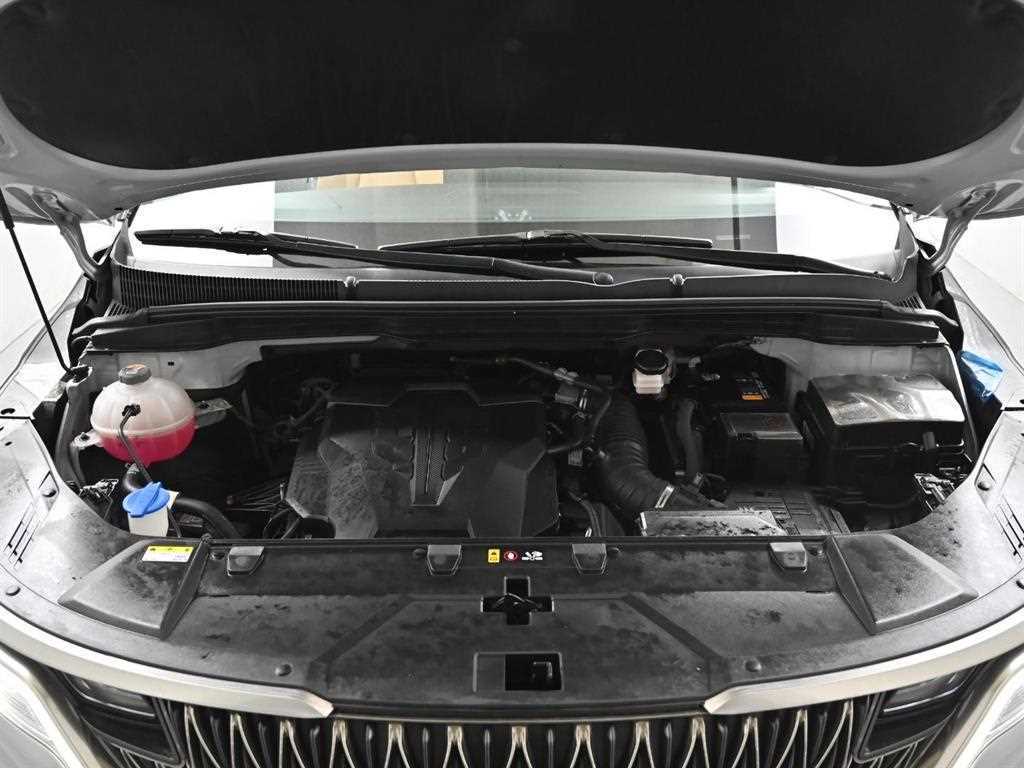 Kia Carnival — photo 06