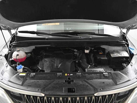 Kia Carnival — photo 06