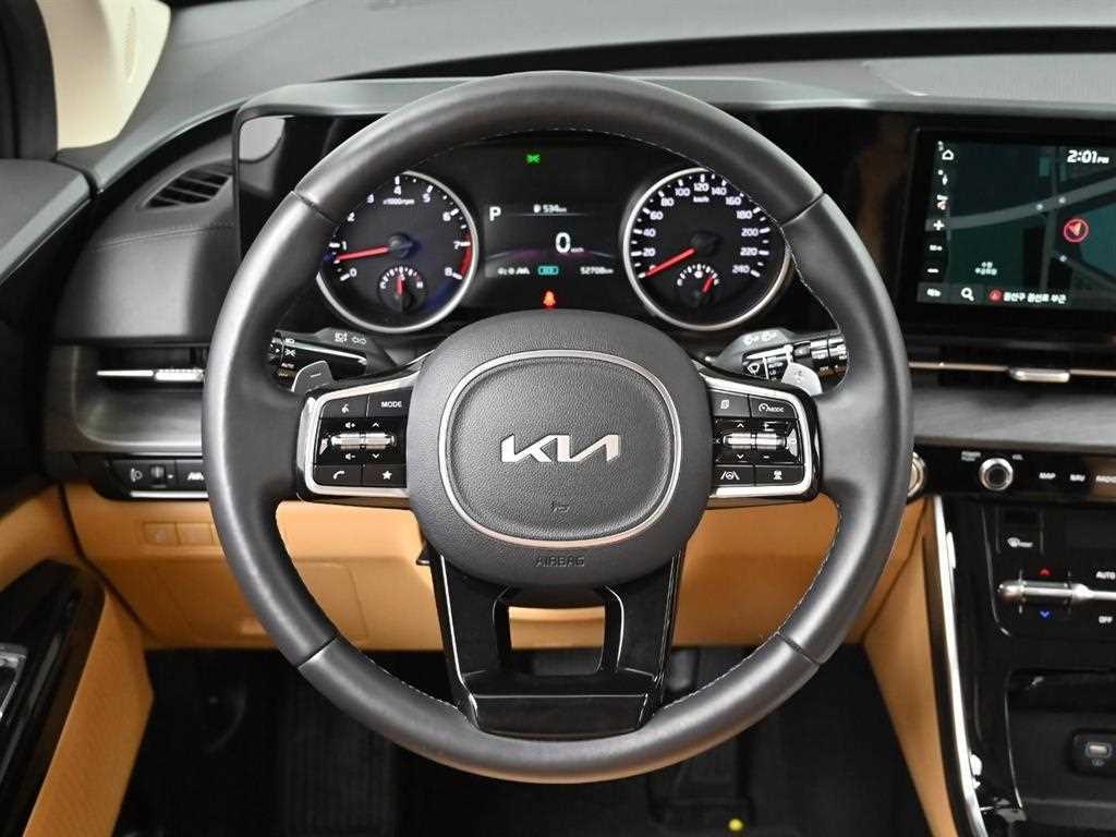Kia Carnival — photo 13