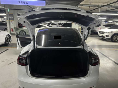 Tesla Model 3 — photo 19