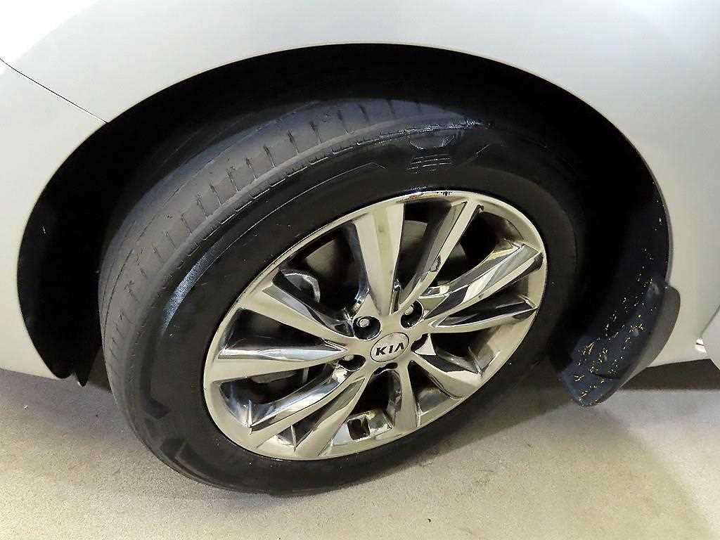 Kia Carnival — photo 20