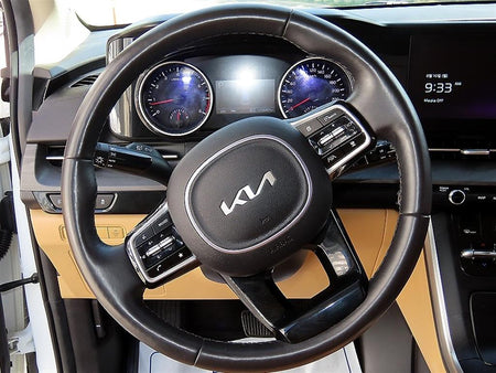 Kia Carnival — photo 09