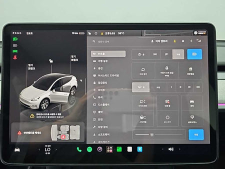 Tesla Model Y — photo 16