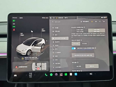Tesla Model Y — photo 17