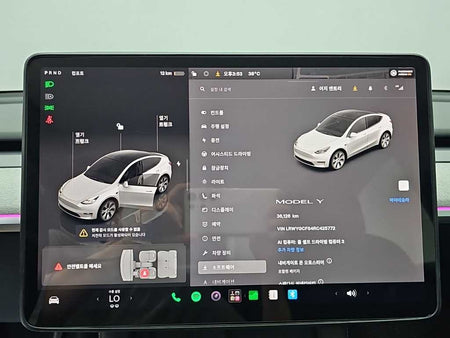 Tesla Model Y — photo 18
