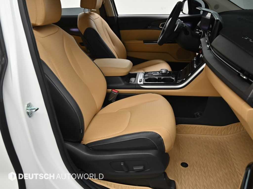 Kia Carnival — photo 10