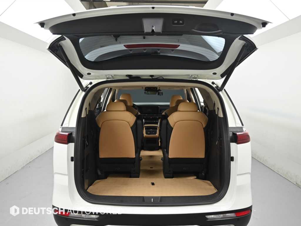 Kia Carnival — photo 19