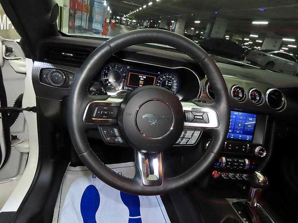 Ford Mustang — photo 08