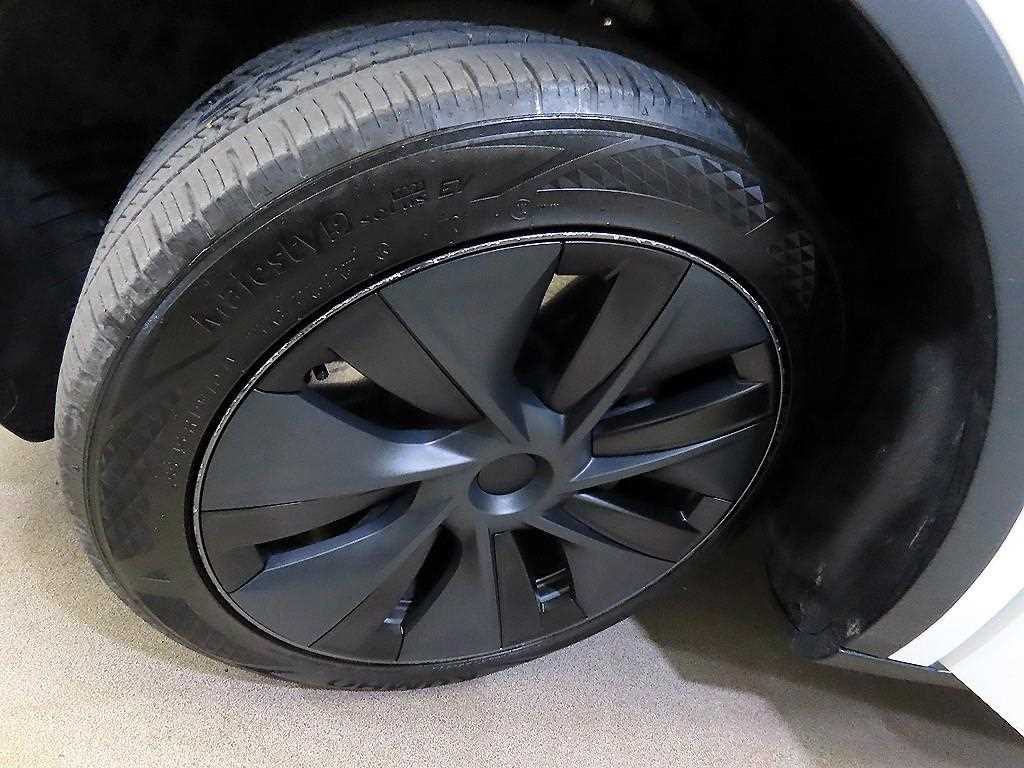 Tesla Model Y — photo 20
