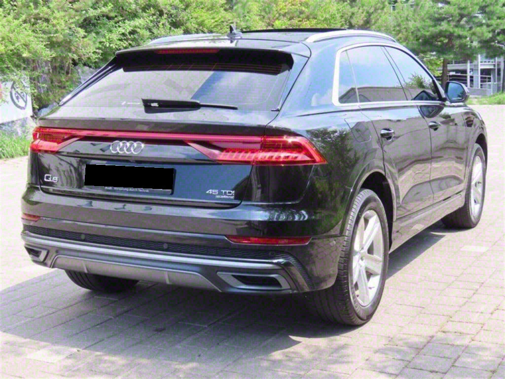 Audi Q8 — photo 03