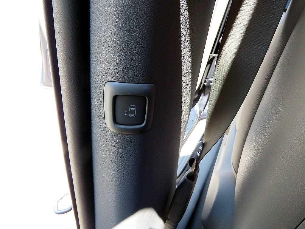 Kia Carnival — photo 15