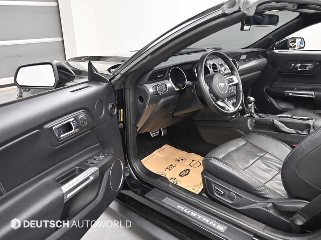 Ford Mustang — photo 11