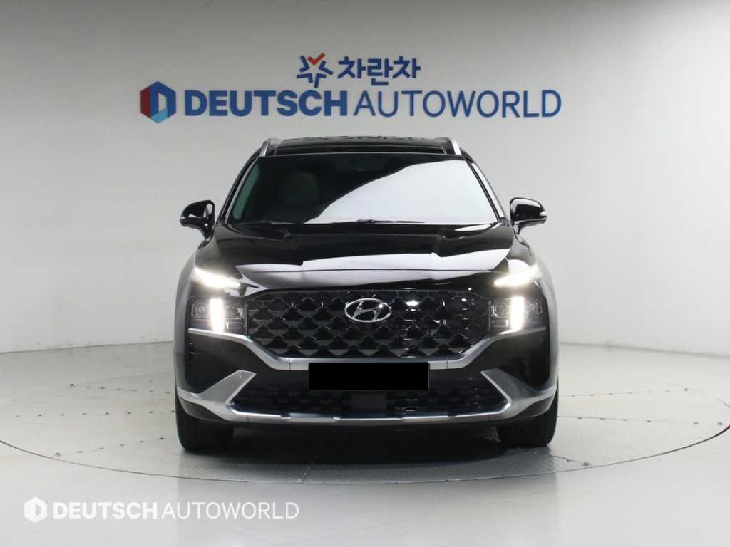 Hyundai Santafe — photo 03
