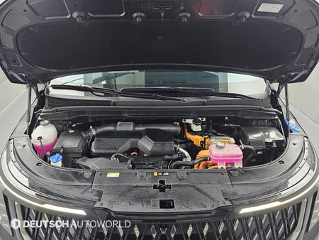 Kia Carnival — photo 06