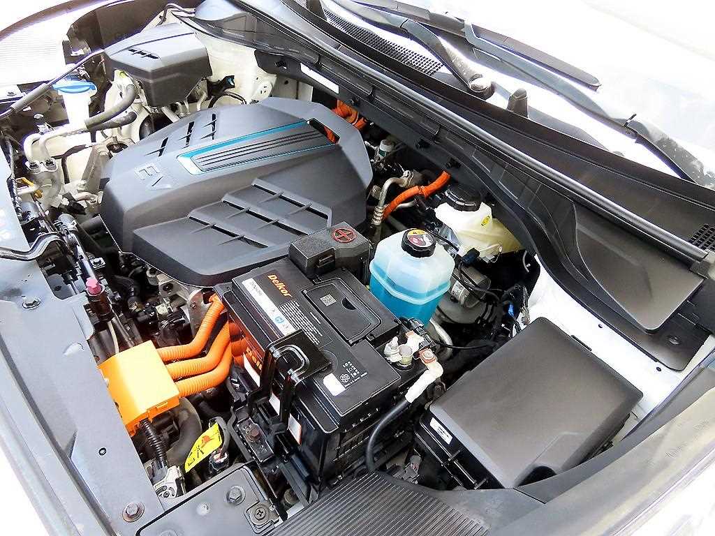 Kia Niro — photo 19