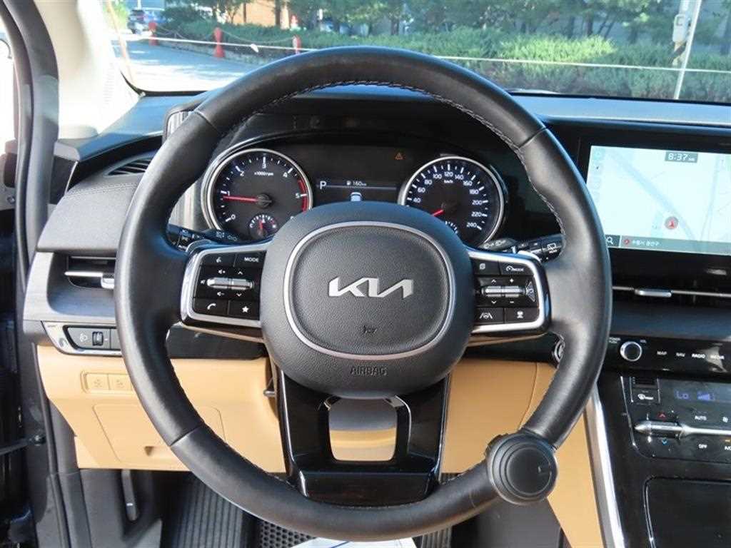 Kia Carnival — photo 10