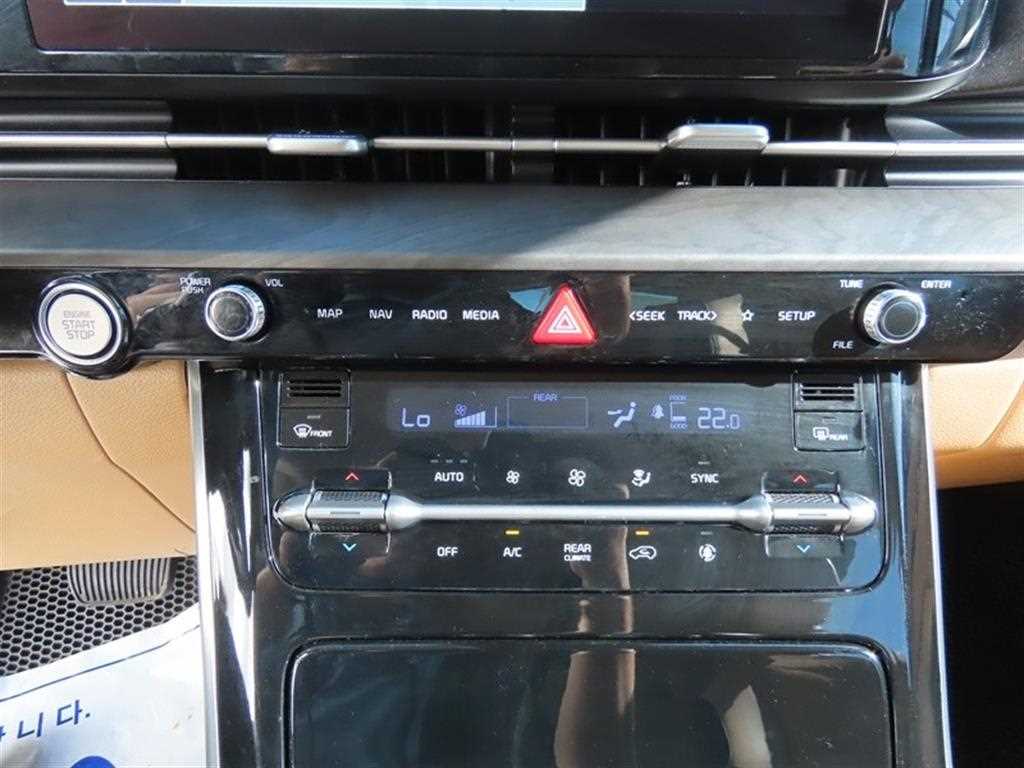 Kia Carnival — photo 15