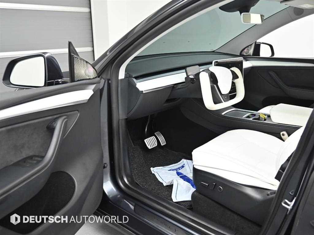 Tesla Model Y — photo 11