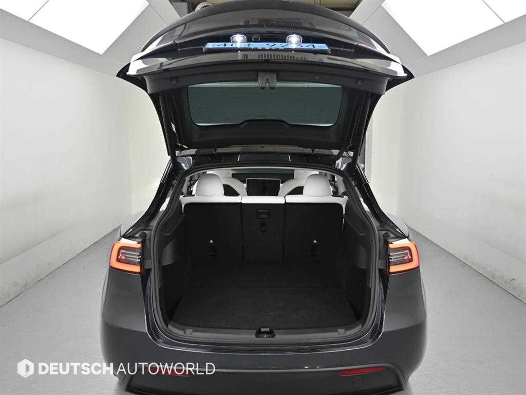 Tesla Model Y — photo 19