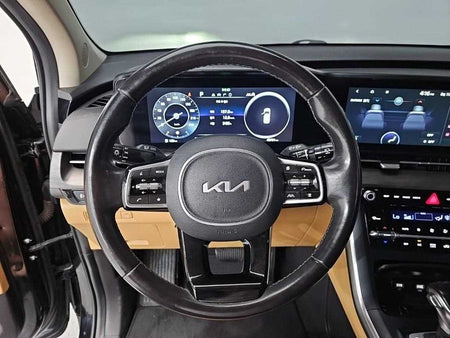 Kia Carnival — photo 09