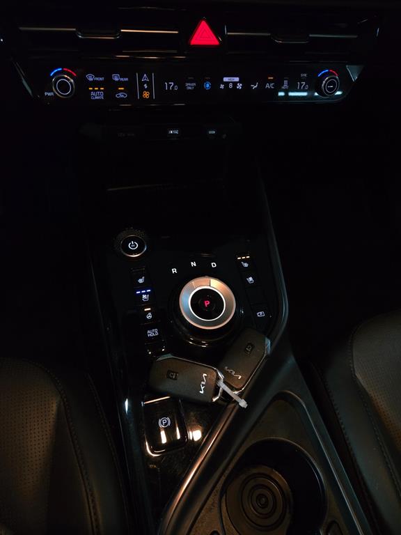 Kia Niro — photo 15