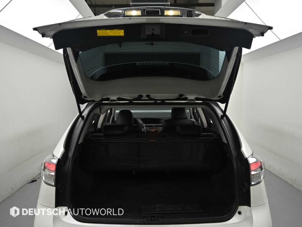 Lexus RX — photo 19