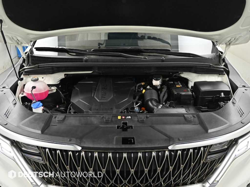 Kia Carnival — photo 06