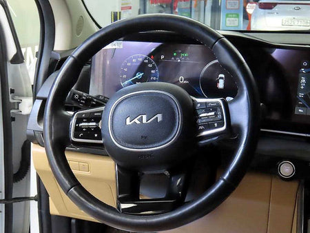 Kia Carnival — photo 08