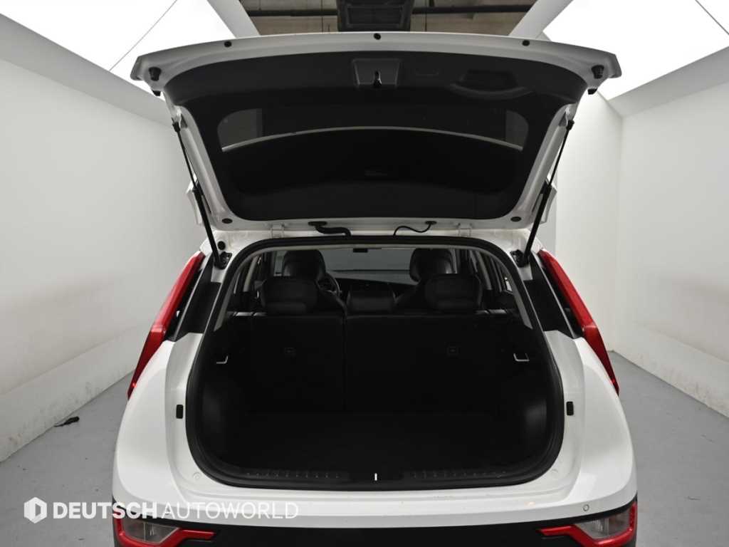 Kia Niro — photo 19