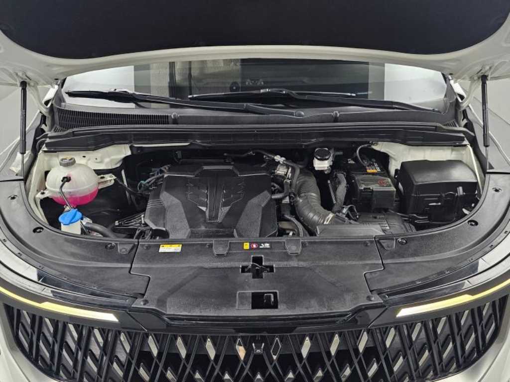 Kia Carnival — photo 06
