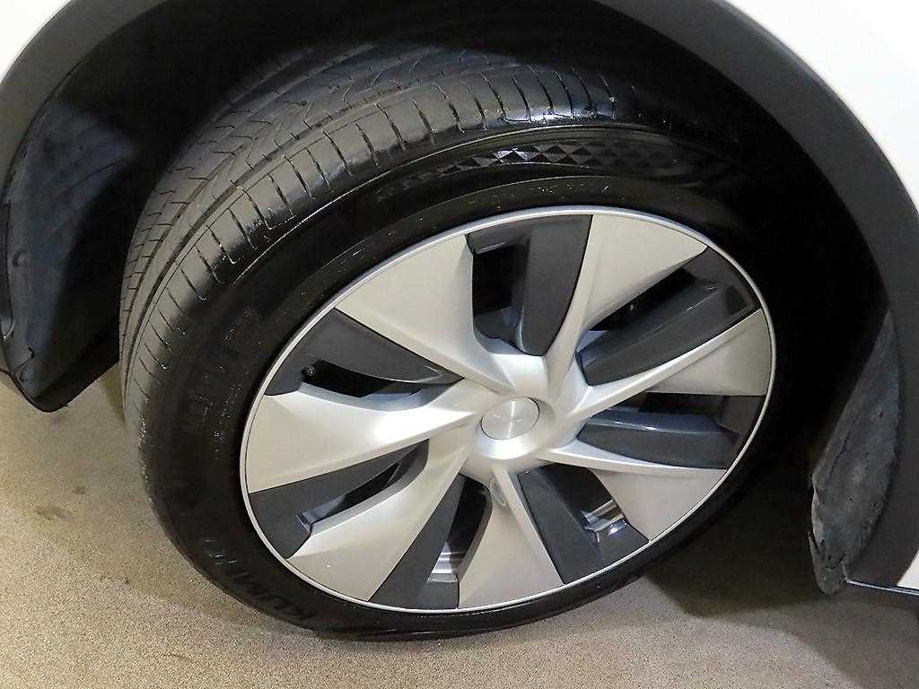 Tesla Model Y — photo 20