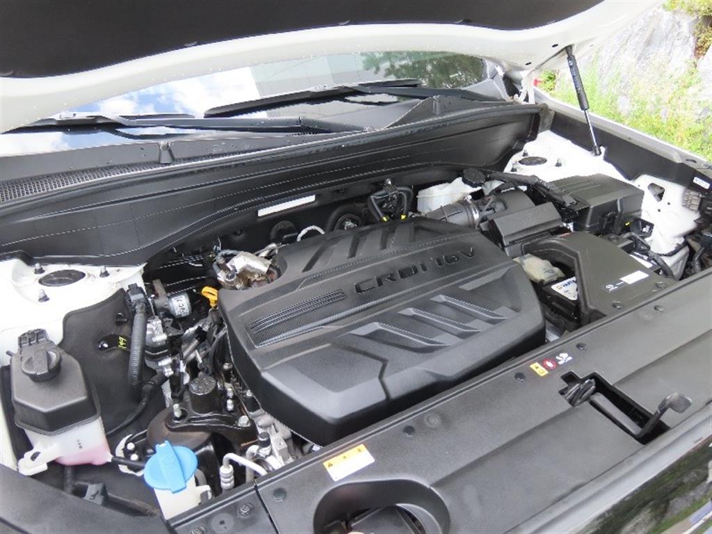 Hyundai Palisade — photo 20