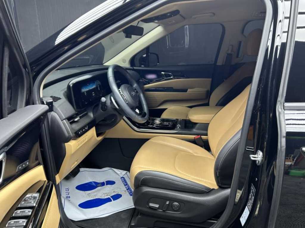 Kia Carnival — photo 07