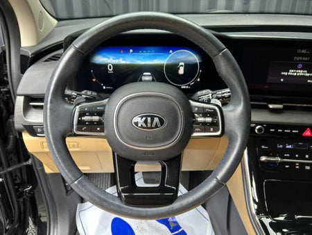 Kia Carnival — photo 13