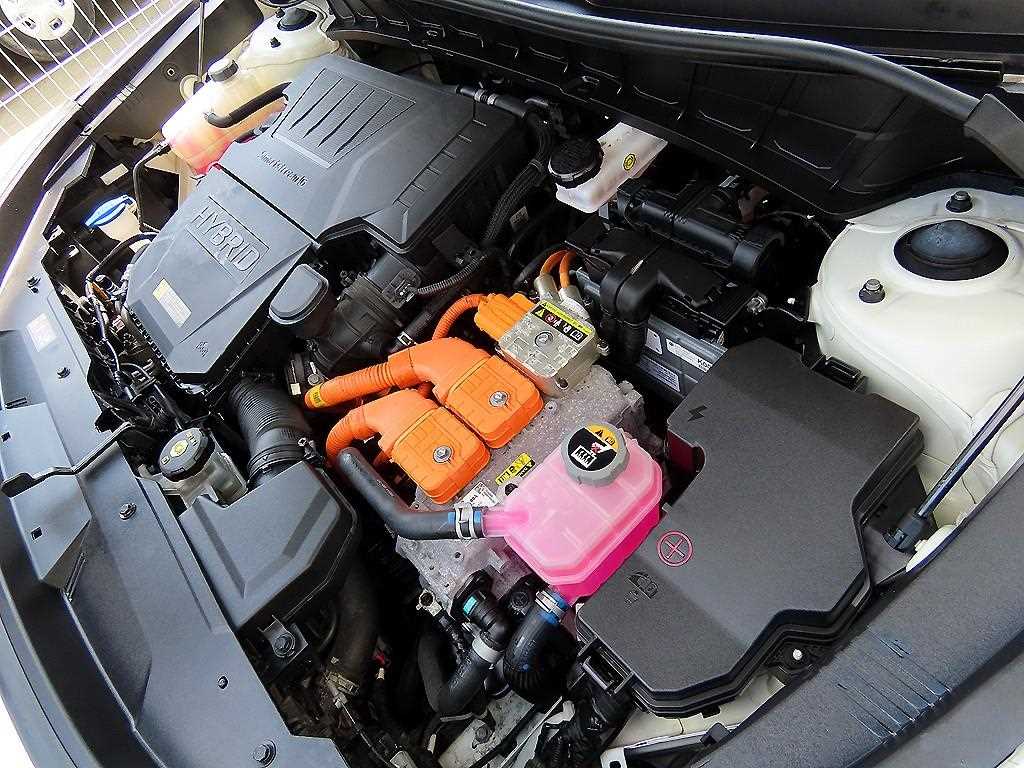 Kia Niro — photo 18