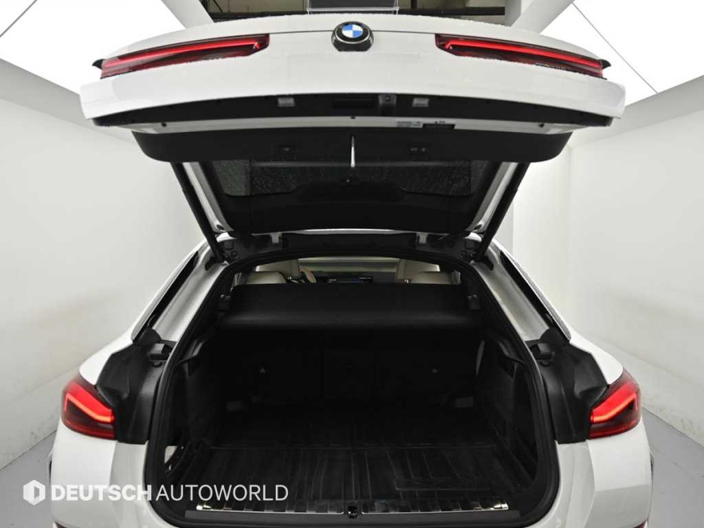 BMW X6 — photo 19
