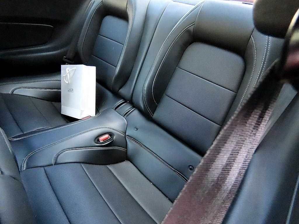 Ford Mustang — photo 06