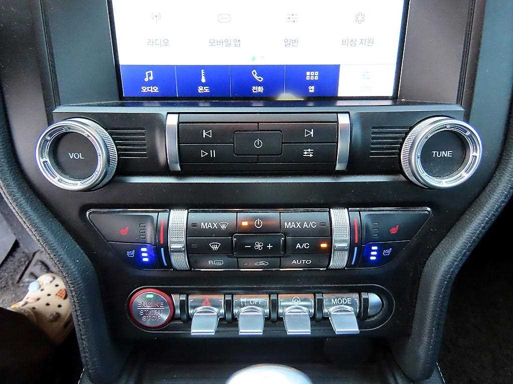 Ford Mustang — photo 13