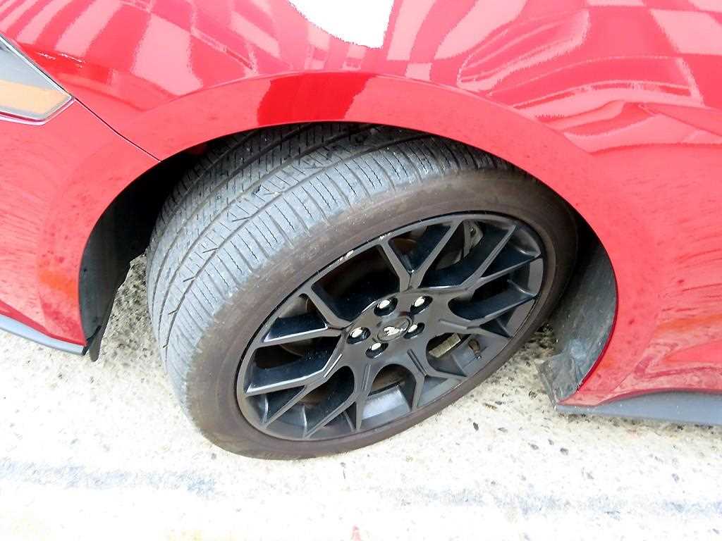 Ford Mustang — photo 19