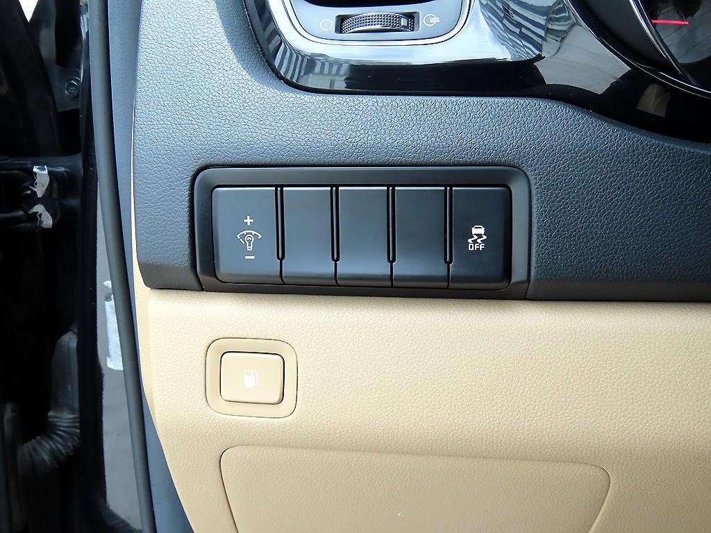 Kia Carnival — photo 13