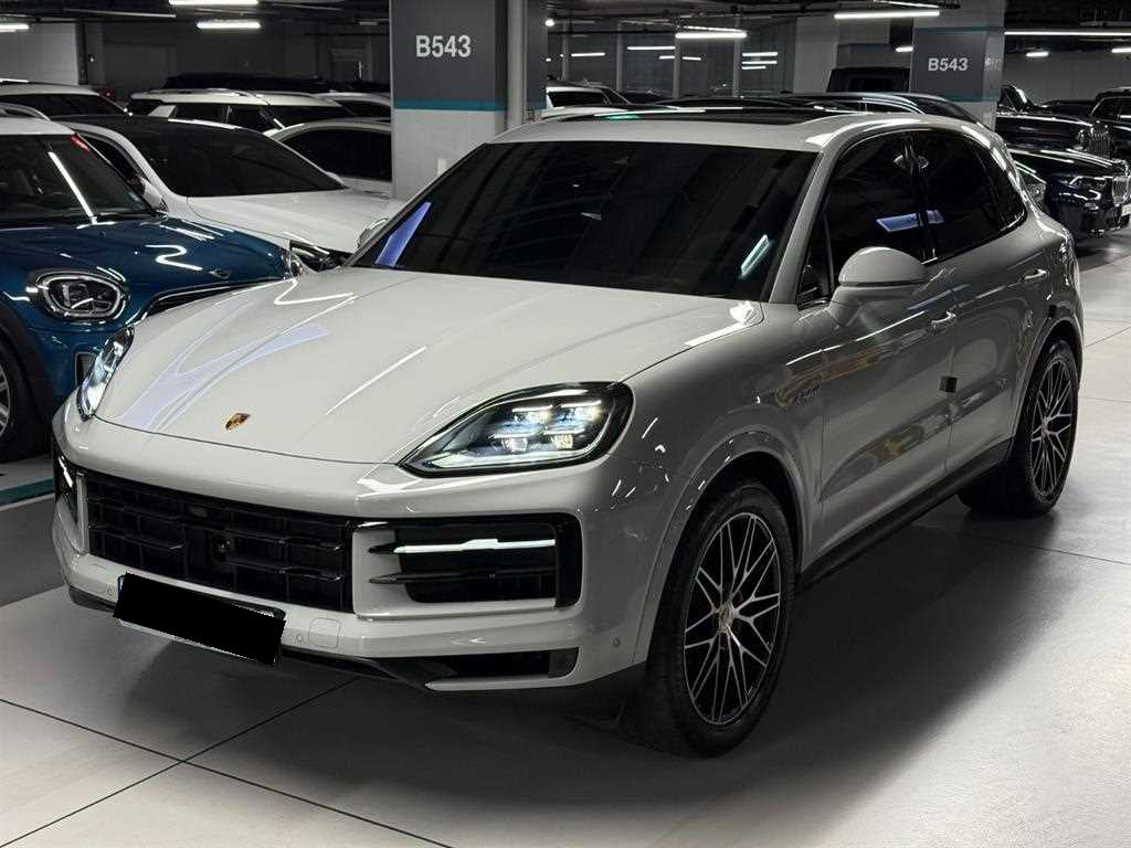 Porsche Cayenne — photo 03