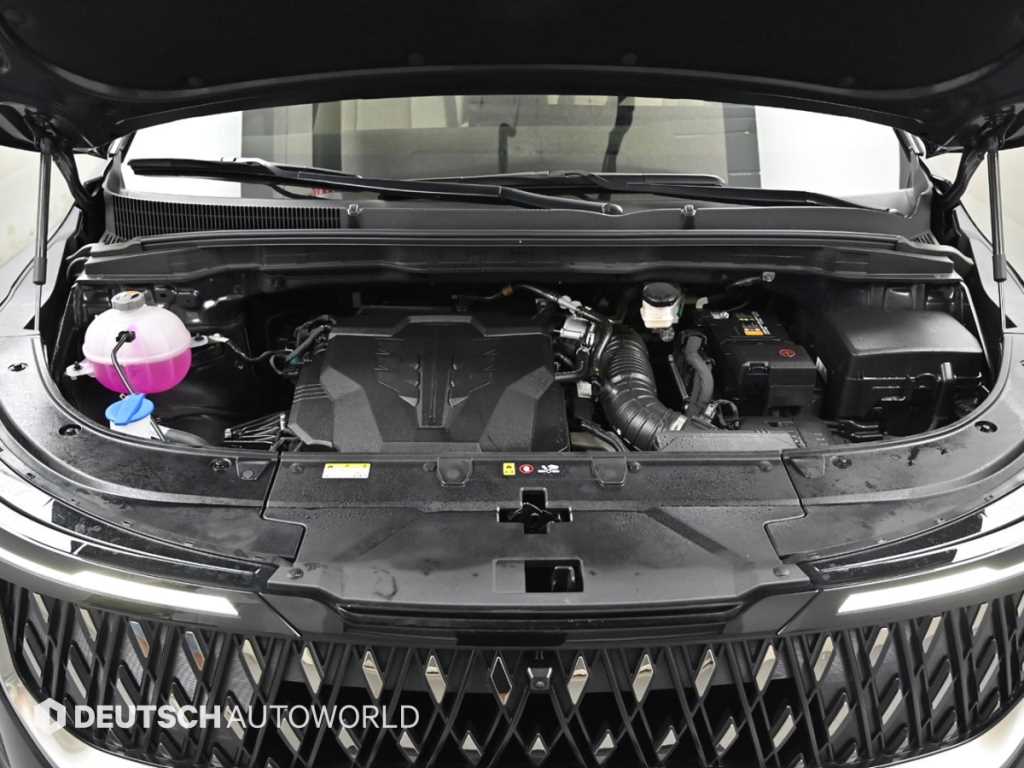 Kia Carnival — photo 06