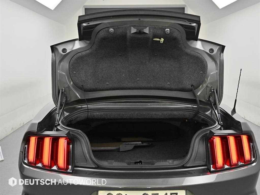 Ford Mustang — photo 17