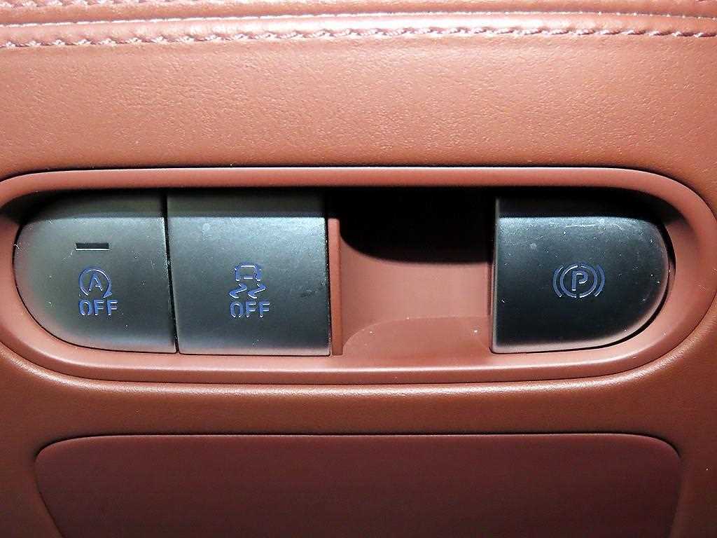 Genesis G90 — photo 13